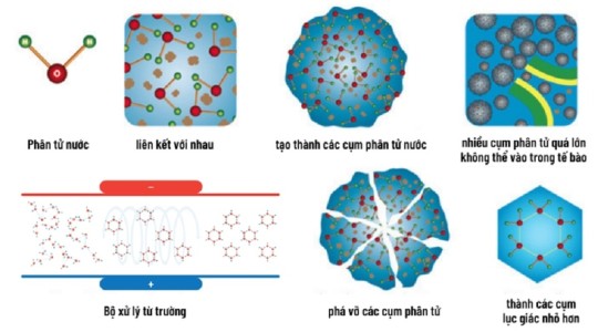 Công nghệ lọc từ trường và những thông tin có thể bạn chưa biết